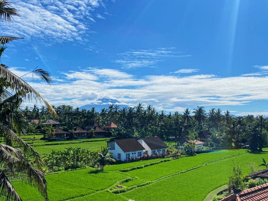 Nirwa Ubud Karma Екстер'єр фото