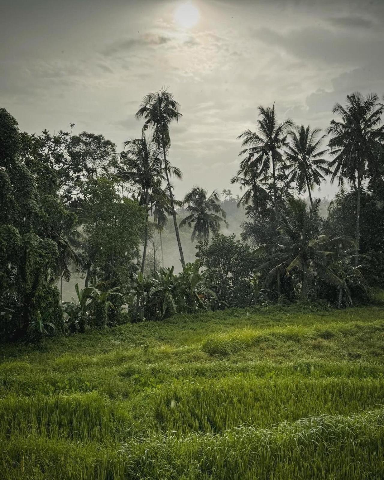 Nirwa Ubud Karma Екстер'єр фото